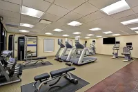 Hampton Inn & Suites Detroit/Warren - Gym