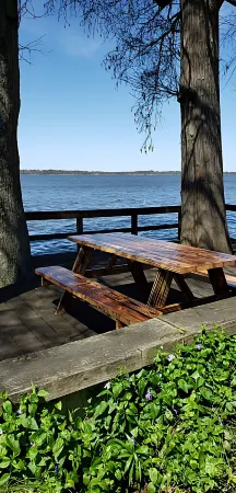 Lake House  Scales and Ducktails Rentals