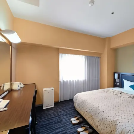Toyama Manten Hotel