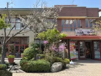 Sakura Piso