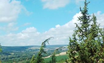 Le Moulin des Roses