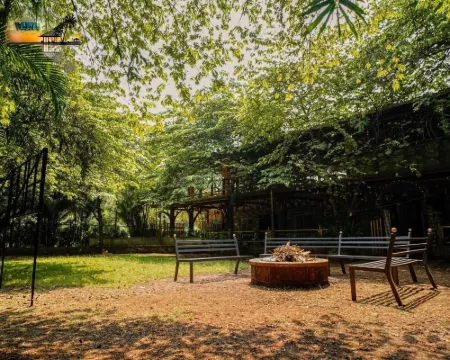 ダンデリ ブティック ジャングル リゾート ダンデリのホテル