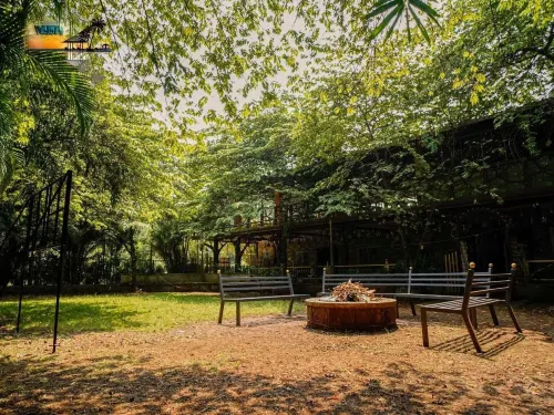 Dandeli boutique Jungle Resort Hotels in Badgund