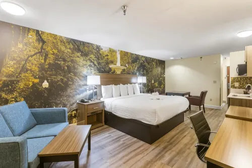 كلاريون بوينت سافانا جايتواي آي-95