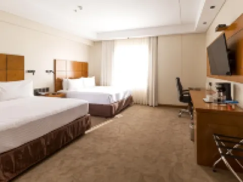 Crowne Plaza 亞松森 亞鬆森酒店