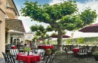 Rhein-Hotel Nierstein Hotels in Guntersblum