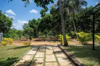 Buddhi's Grove