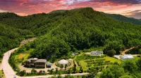 Jeongseon Forest Morning Pension