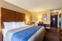Comfort Inn - Gym