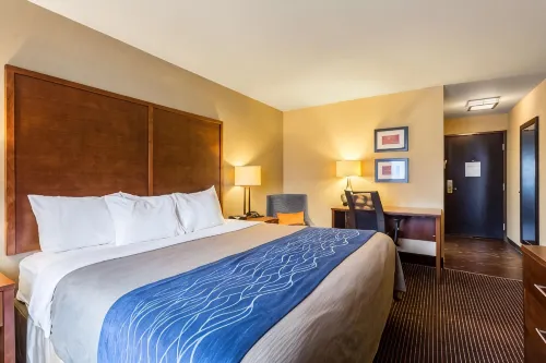 Comfort Inn - breakfast