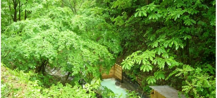 Hotels in Forest Waldberg Hotels in Yamagata City