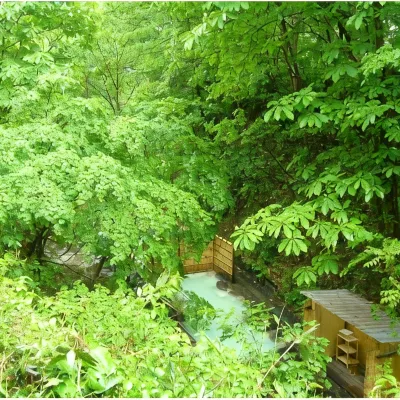 Hotels in Forest Waldberg Hotels near Zao Ropeway