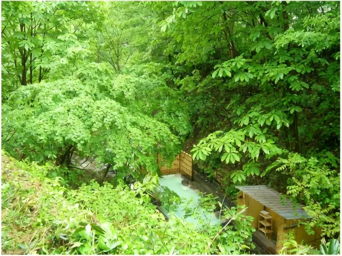 Hotels in Forest Waldberg - vue sur la montagne