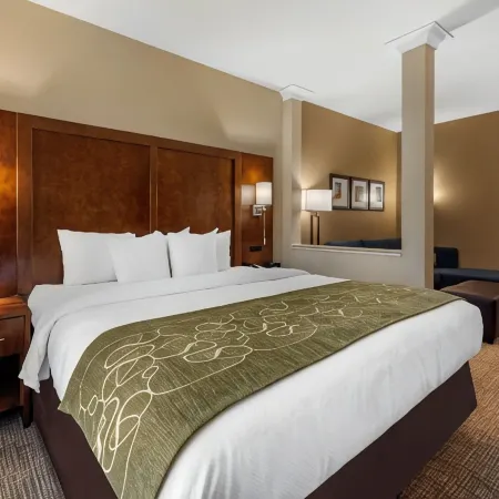Comfort Suites Denver Near Anschutz Medical Campus