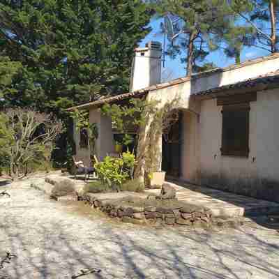 Provencal house in private wooded grounds with swimming pool and tennis court. Sleeps 5. Hotel Exterior