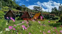 Cabanas la Campina - Homestays