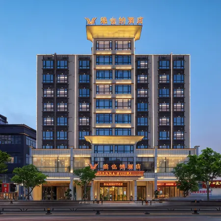Vienna Hotel (Lingao Store)