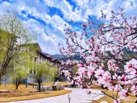 Hilton Linzhi Resort Hotels in Mainling