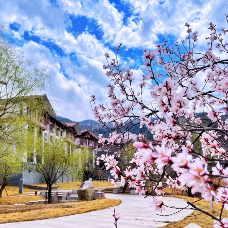 Hilton Linzhi Resort