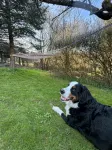 Forest magic - modern time out in the countryside - Homestays
