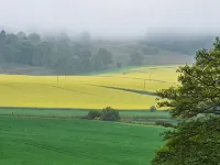 Woodview - Idyllic Cottage in the Country フォーファーのホテル