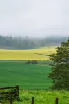 Woodview - Idyllic Cottage in the Country - Homestays