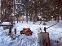 Cozy, Quiet Old Forge Getaway, just Minutes from The Fulton Chain Lakes