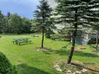 Across from Central Village/Slopes! AC 3BR MIDWEEK SPECIALS!!!  WIFI Hotels in Edray