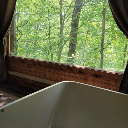 Honeymoon Cabin, Very Secluded, Very Romantic, Arcade, FREE Daily Bear Sightings