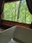 Honeymoon Cabin, Very Secluded, Very Romantic, Arcade, FREE Daily Bear Sightings - románticos
