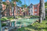 Brand New 1BR in the heart of Houston Med Center - Condos
