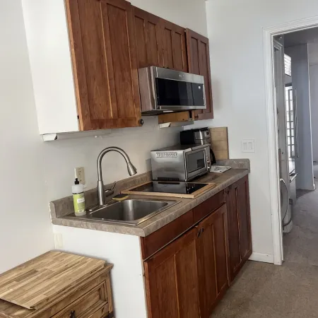 Telluride Viking Condo with River and Mountain Views!