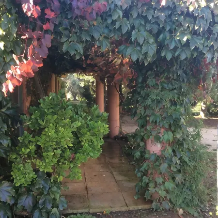 The Yurt located in beautiful O'Connell