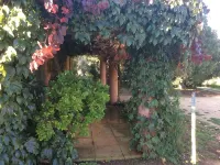 The Yurt located in beautiful O'Connell