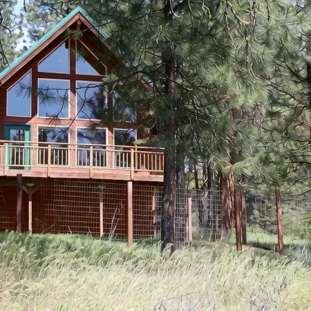 Quiet 1 BR + loft cabin great for weekend getaways & stargazing. Pet Friendly!