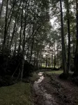 "Deacon Escape", incredible and quiet getaway. - Chalets