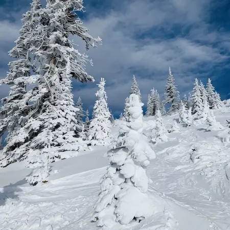 Great True Ski-in/Ski-Out condo next to Giant Steps Lodge and Tubing Hill.