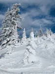 Great True Ski-in/Ski-Out condo next to Giant Steps Lodge and Tubing Hill.