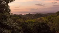 Luxury Villa, 4 King Beds, Ocean View, Private Pool Game Room Fully A/C