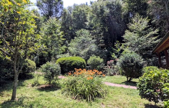 Creek-side cottage in secluded mountain setting, centrally located, easy access.