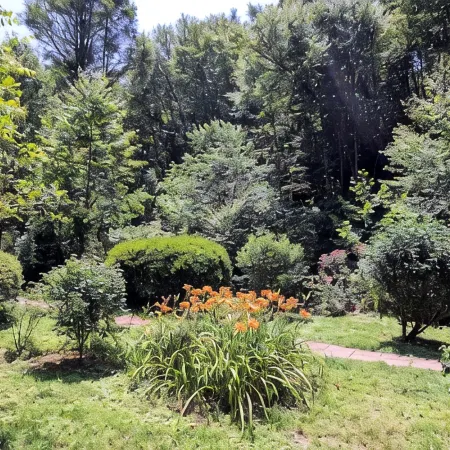 Creek-side cottage in secluded mountain setting, centrally located, easy access.