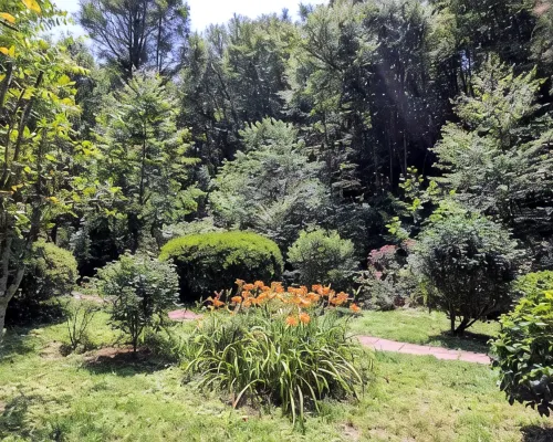 Creek-side cottage in secluded mountain setting, centrally located, easy access. Hotels in Broad River