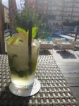 Fenals Garden - bar