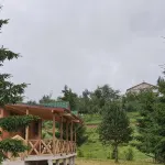 Yıldız Tepe Otel&Pansiyon - Pet friendly