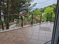 House Pine Tree - Homestays