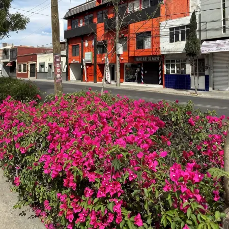 Hotel Posada Jardin