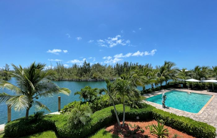 Dolphin Cove