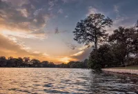 Tranquil Lakefront Retreat: 1BR Cabin with Covered Patio & Private Dock - Alphydda