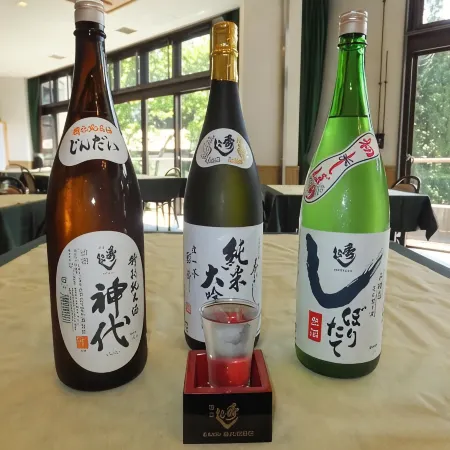 Cerulean Resort Aoni