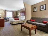 Comfort Inn & Suites Leeds I-20 Hotels in St. Clair County